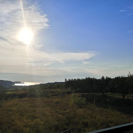 Saleto Apartma Jagodje Exteriér fotografie