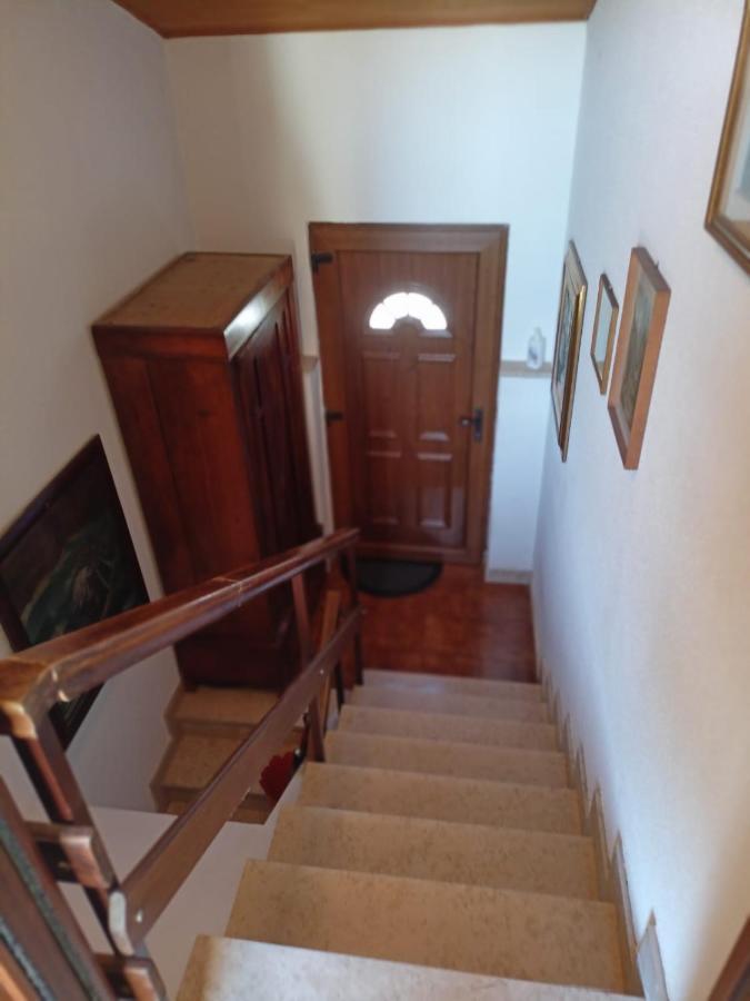 Saleto Apartma Jagodje Exteriér fotografie