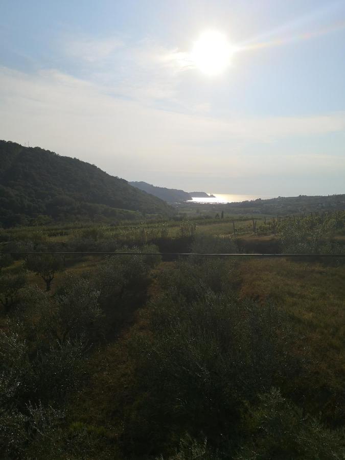 Saleto Apartma Jagodje Exteriér fotografie