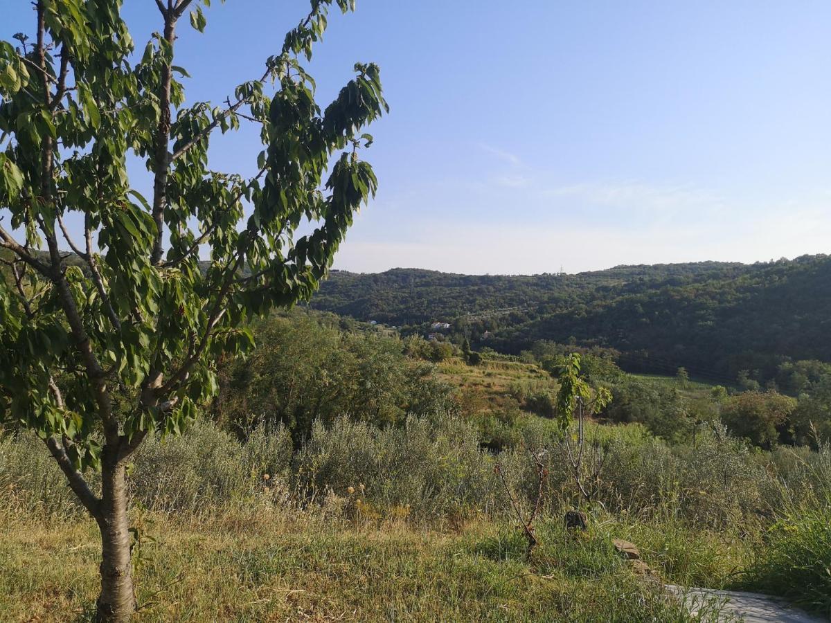 Saleto Apartma Jagodje Exteriér fotografie